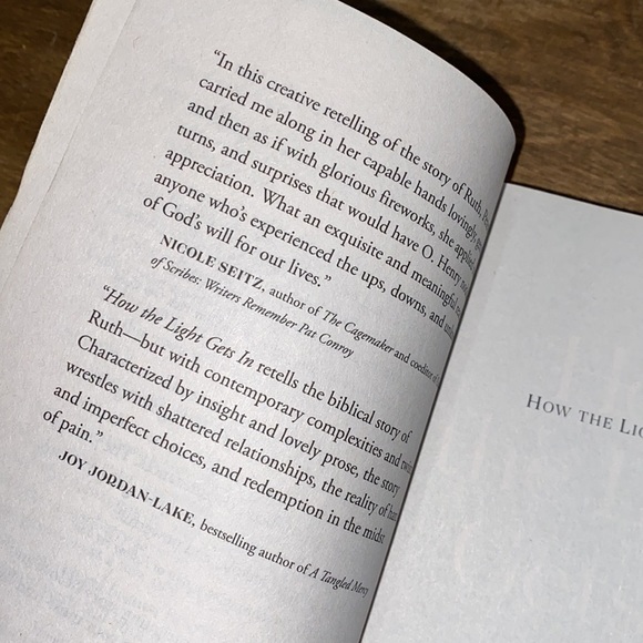 How the light gets in by Jolina Petersheim paper back book - Picture 4 of 6